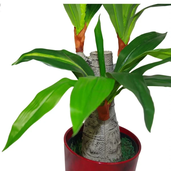 Artificial Dracaena Plant 75cm Tropical Plants - Image 2