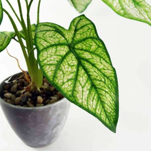 Artificial Plant Taro in Decorative Planter - Image 2