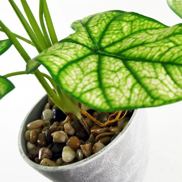 Artificial Plant Taro in Decorative Planter - Image 3