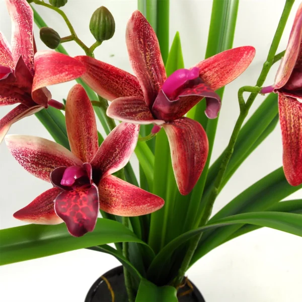 Artificial Orchid Black Ceramic Planter Dark Pink 50cm - Image 4