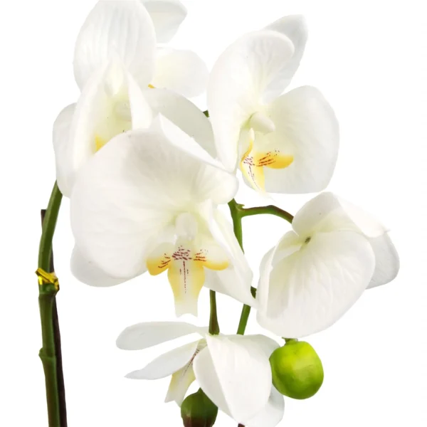 Artificial Orchid White Silver Pot 46cm - Image 2