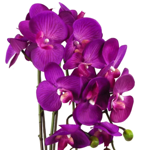 Artificial Orchid Large Purple Gold 52cm - Image 2