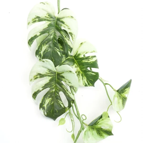 Artificial Hanging Plant Variegated Monstera Plant - Image 2