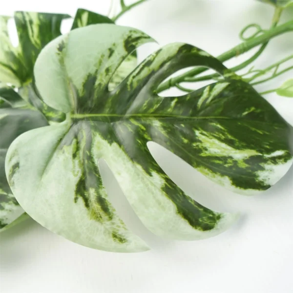 Artificial Hanging Plant Variegated Monstera Plant - Image 3