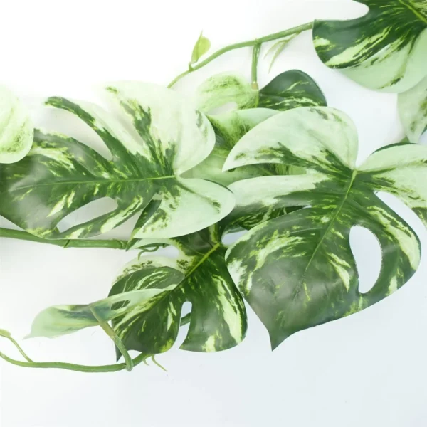 Artificial Hanging Plant Variegated Monstera Plant - Image 5