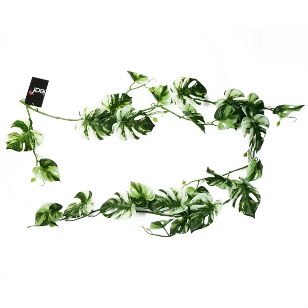 Artificial Hanging Plant Variegated Monstera Plant Pack x 6 - Image 6