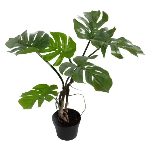 Artificial Monstera Cheese Plant Monstera Vine 60cm 2ft Plants