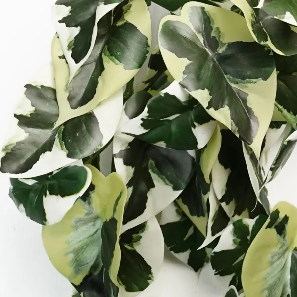 Artificial Hanging Plant Variegated Marble Pothos Plant - Image 2