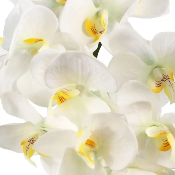 Artificial Orchid Large White Gold 52cm - Image 2