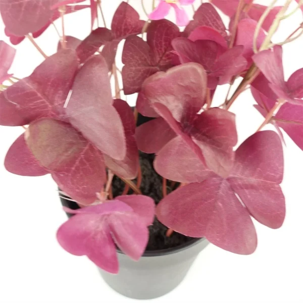 Artificial Plant Purple Shamrock Pink Flowers - Image 2