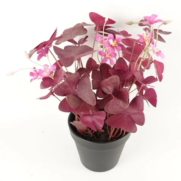 Artificial Plant Purple Shamrock Pink Flowers - Image 3