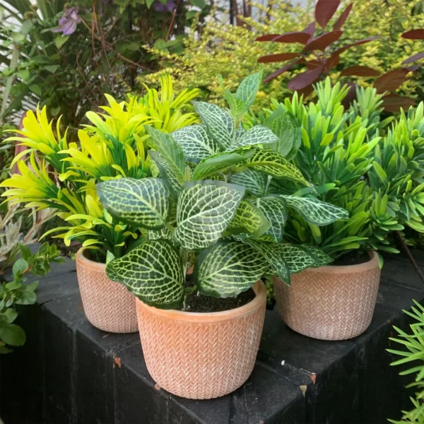 Artificial Plant Terracotta Pot Honey Shrub - Image 3