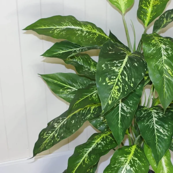 Artificial Plant Fox Aglaonema Tree Silver Metal Planter 100cm - Image 5