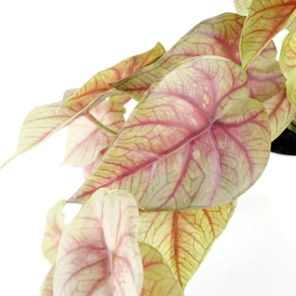 Artificial Pink Caladium Trailing Plant - Image 3