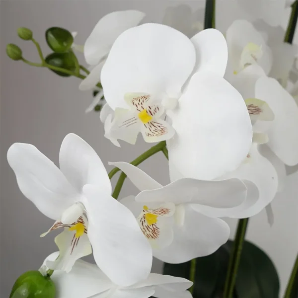 Artificial Orchid with Glass Planter - White - Image 2