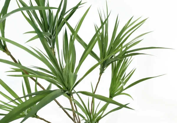 Dragon Tree Dracaena Plant 125cm Look Artificial - Image 2