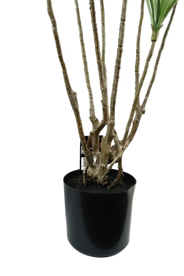 Dragon Tree Dracaena Plant 125cm Look Artificial - Image 5