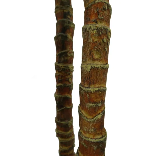 Artificial Tree Yukka Tropical 170cm Tall XXL Yukka - Image 4