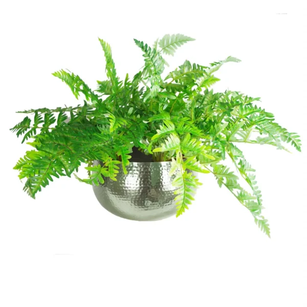 Leaf Metal Planter Edge Metal Planter SILVER XL - Image 3