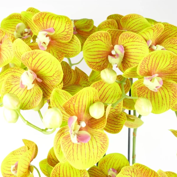 Large Orchid Lime Yellow - 41 REAL TOUCH flowers - Image 4