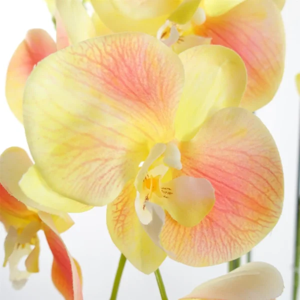 Large Yellow Peach Orchid Plant - Artifcial - 41 REAL TOUCH flowers - Image 3