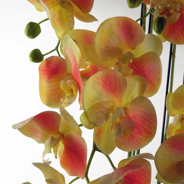 Large Yellow Peach Orchid Plant - Artifcial - 41 REAL TOUCH flowers - Image 4