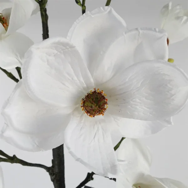 Magnolia Artificial Tree White Potted - Image 3