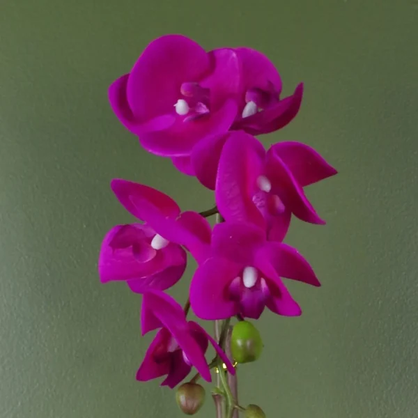 Pink Silver Artificial Orchid 46cm Real Touch - Image 2