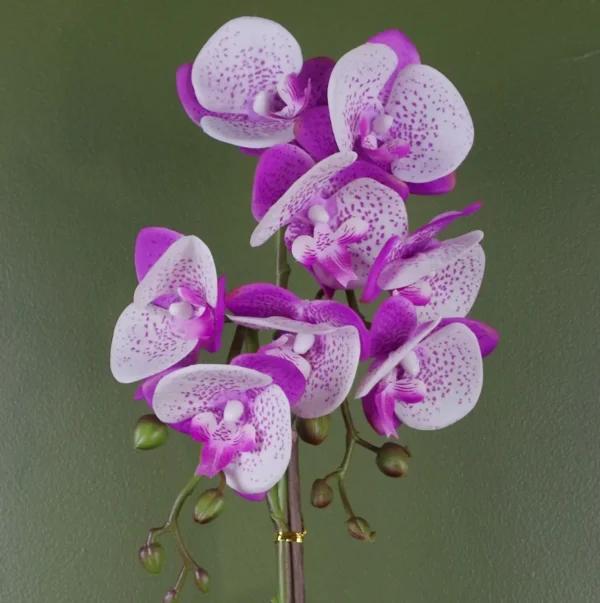 Purple White Orchid Artificial 50cm Gold Pot - Image 2