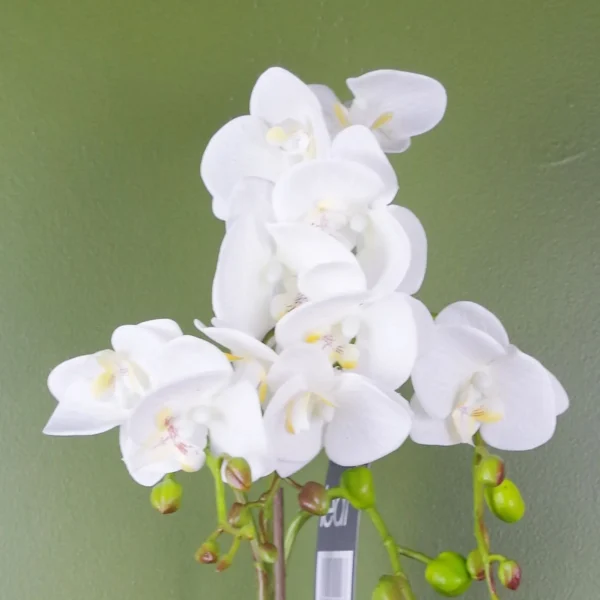 White Artificial Orchid Plant Gold Pot 54cm - Image 2