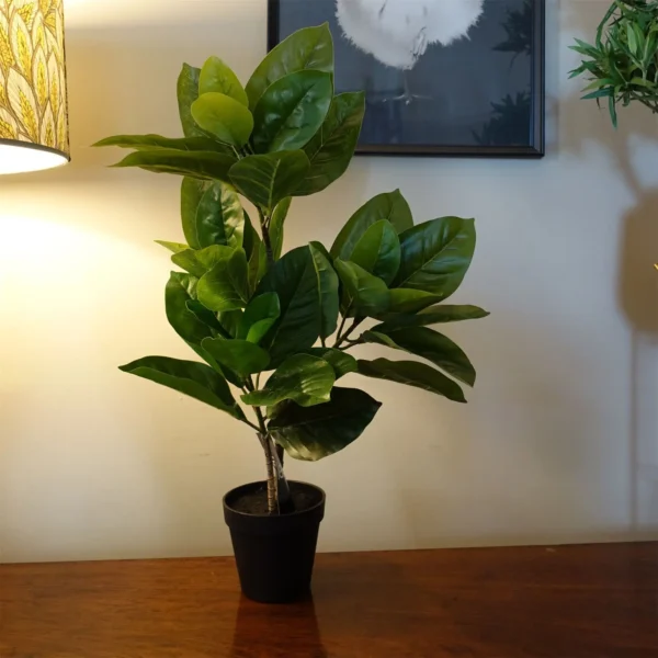 Rubber Plant Artificial in Pot 65cm