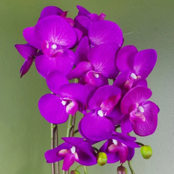 Purple Artificial Orchid Gold 52cm Real Touch - Image 2