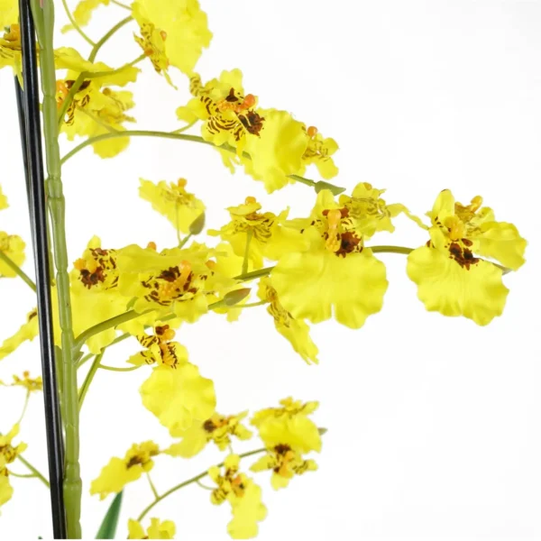 Oncidium Orchid Yellow in Stoneware Planter - Image 2