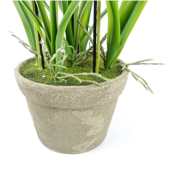 Oncidium Orchid Yellow in Stoneware Planter - Image 5