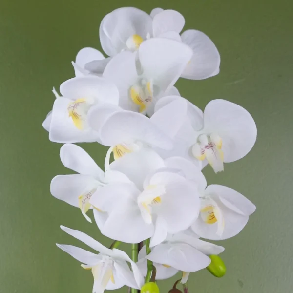 White Artificial Orchid Gold 52cm Real Touch - Image 2