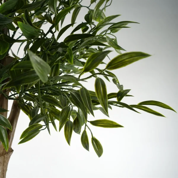 UV Resistant Ruscus Tree- 2716 leaves - Image 3