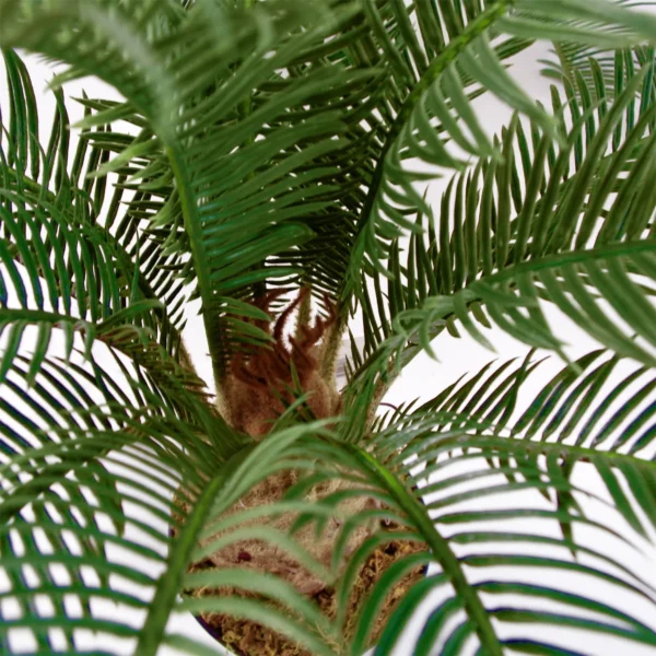 Palm Tree Artificial Cycas 60cm - Image 2