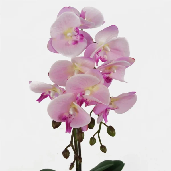 Orchid Artificial Pink Silver 50cm Phalaenopsis - Image 2