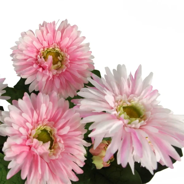 Pink Daisy Flowers Plant Plant Artificial - Image 2