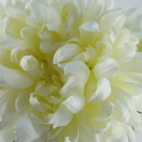 Pack of 6 x Artificial Flowers Extra Large Reflex Chrysanthemum - White 75cm - Image 5