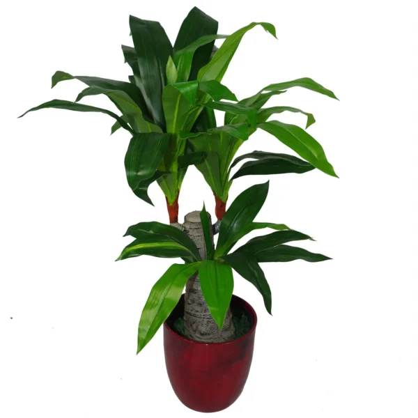 Tropical Artificial Plants Spiky Dracaena 75cm House Plant - Image 2