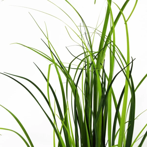 60cm Artificial Lemongrass Grass Plant Plants - Image 2