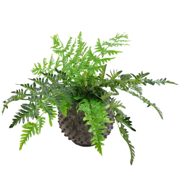 Artificial Fern Plant 50cm Fern Plants - Image 2