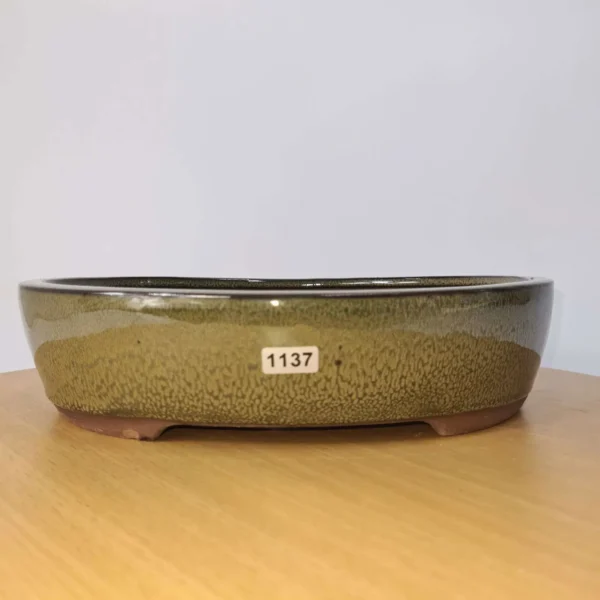 26cm Glazed Bonsai Pot | Oval | 26cm x 22cm x 6cm | Green