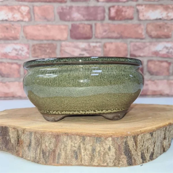 16cm Glazed Bonsai Pot | Oval | 16cm x 13cm x 6cm | Green