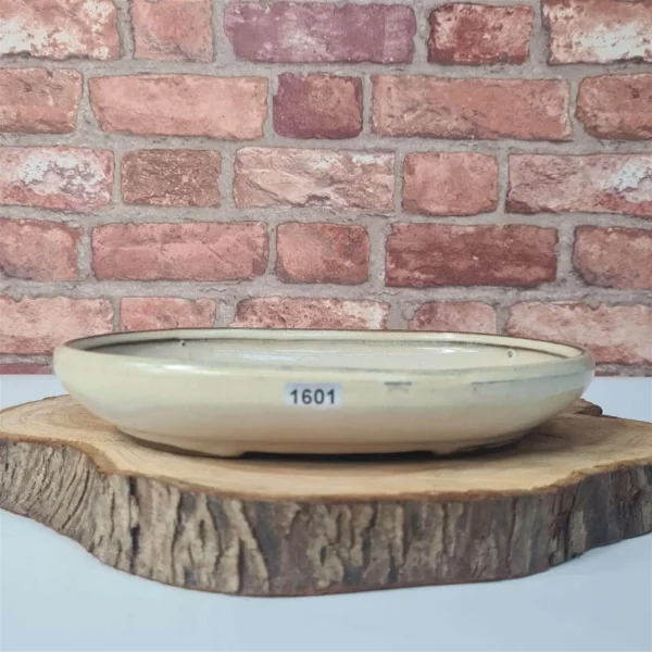 25cm Glazed Bonsai Pot | Oval | 25cm x 18cm x 4.5cm | White