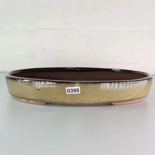 26cm Glazed Bonsai Pot | Oval | 26cm x 19cm x 4cm | Green