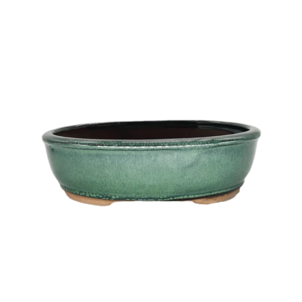 26cm Glazed Bonsai Pot | Oval | 26cm x 20cm x 8cm | Green