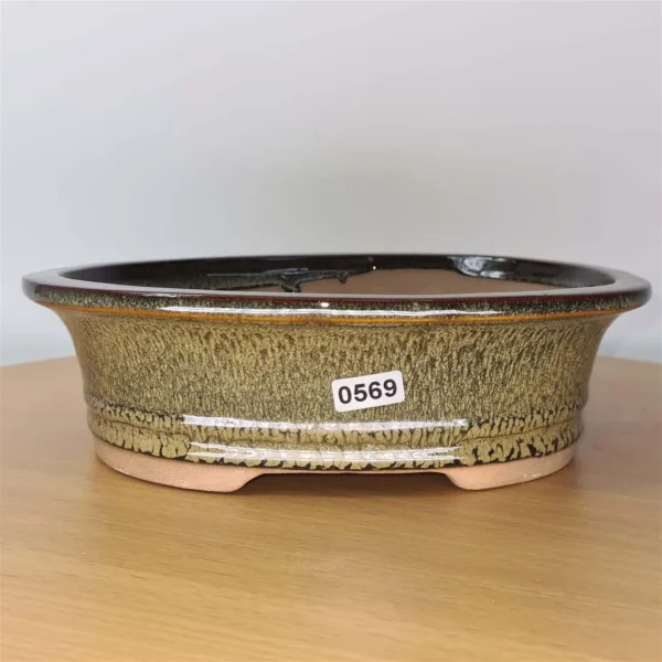 21cm Glazed Bonsai Pot | Oval | 21cm x 17cm x 6cm | Green