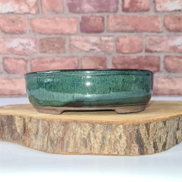 16cm Glazed Bonsai Pot | Oval | 16cm x 12cm x 3cm | Green